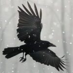 Profile picture of Nathan Hansen